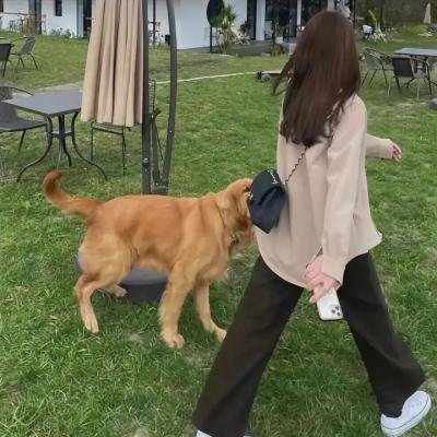 明星大侦探第六季