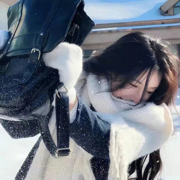 遨翔加州